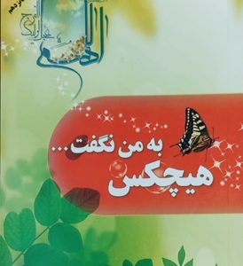 کتاب هیچکس به من نگفت